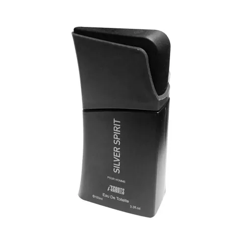 TESTER SILVER SPIRIT MASCULINO 100ML, ISCENT SEM CAIXA